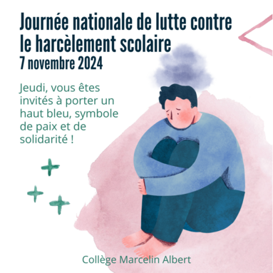 7 novembre journée de lutte contre le harcèlement.png