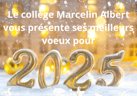 Le collège Marcelin Albert vous présente ses meilleurs voeux pour(1).png